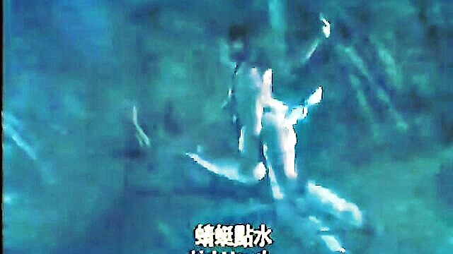 experience the exotic blend of kung fu and eroticism in vintage sex videos : yfranecki