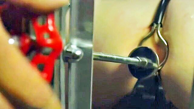 hardcore, brunette, big tits - bdsm tube slave transport video