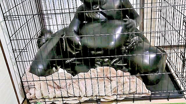 Cage - cage bdsm video