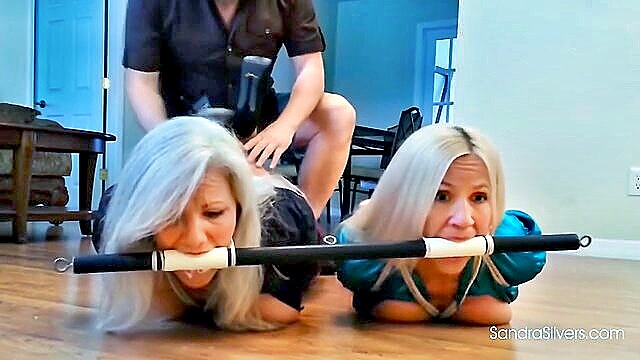 Busty beauties Sandra Silvers and Amanda Foxx in tantalizing BDSM teaser, exploring pleasure and submission.