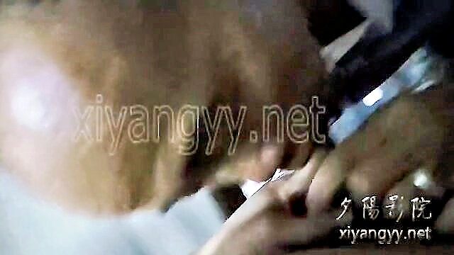 gay, asian, chinese - elderly asian mans intimate wc moments captured in porn x video