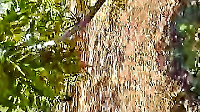 indian, 18 year old, asian - desi wifes brutal sex in the jungle
