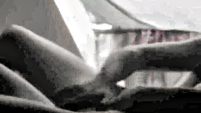 dutch amateur couple 3 presents a wild session with an 18 year old : xHamster Premium