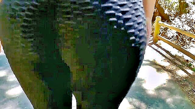 moms big ass in leggings a public display of bbw beauty : Pawg
