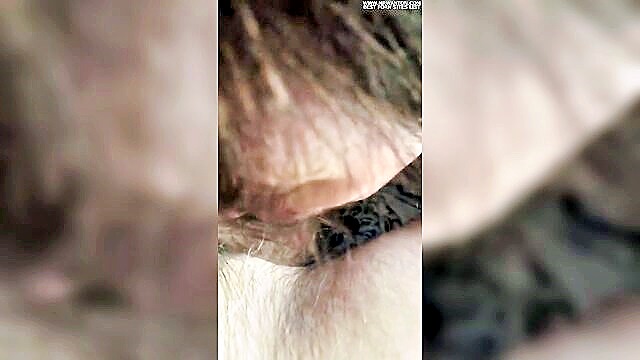 blowjob, brunette, american - american cougar loves playing with balls in homemade video