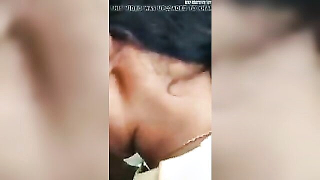 porn video, sex video, hindi porn - hot indian tamil and hindi porn videos on xhamster