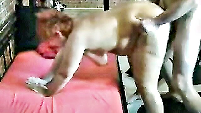 sex video, porn movie, porn video - watch free german gets fucked and cum in mouth porn