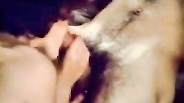 vintage, porn movie, porn movies - retro queens take on big cocks in xhamster video