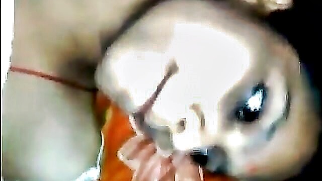 indian, bdsm, brutal sex - ex girlfriends steamy encounter with a well endowed partner in part 2