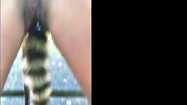 new xxx hd video of a wild gang bang with public flashing and anal fun : Bang