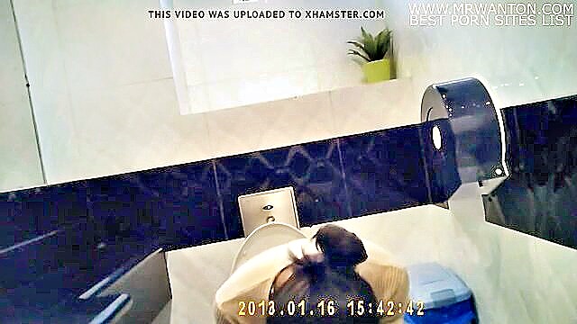 hairy, asian, singaporean - three singaporean girls pee in public toilet in xxx porn hot video