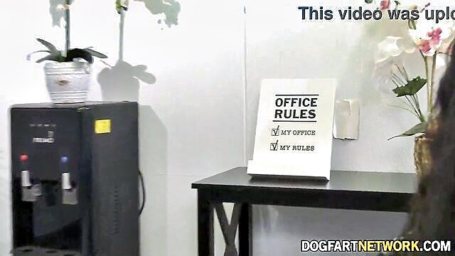 Braylin Bailey, Miami Davis - temp agency manager miami davis Dogfart Network