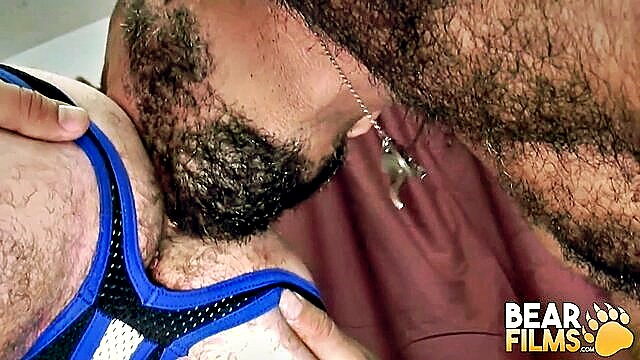 gay bear, bearfilms, cub - alessio romero gay porn