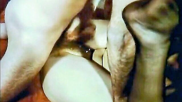 hotwife pussy : Tabu Film