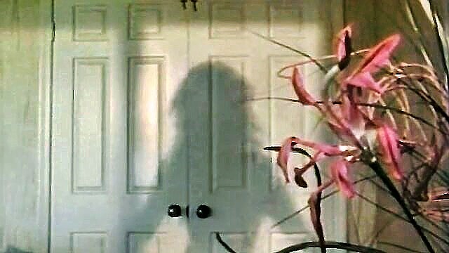 hairy cock bathroom scene : Standard Video