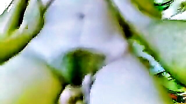 indian wife sex video : The Indian Porn
