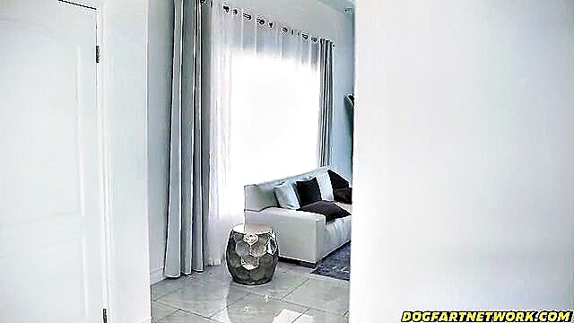 bbc, dogfartnetwork, interracial - graycee baybee small tits
