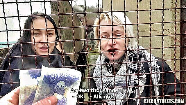 harley quin, czech, harley quinn - czech family fuck