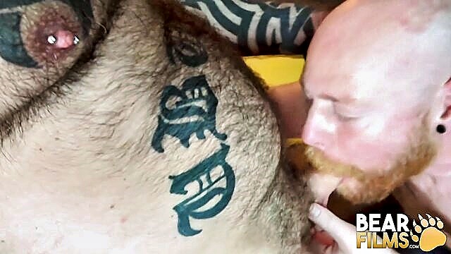 bear, gay bearfilms, hairy - gay bareback compilation
