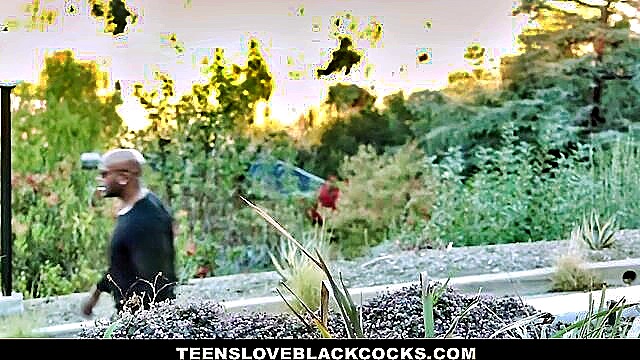 greys tight pussy : Teens Love Black Cocks
