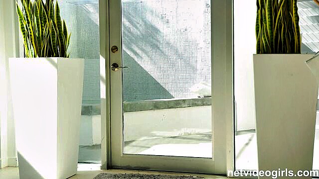 big tits, brunette, ellie nova - ellie nova big tits