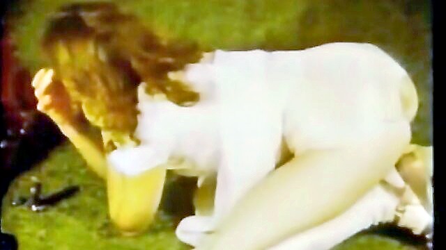class reunion porn movies : Diamond Collection
