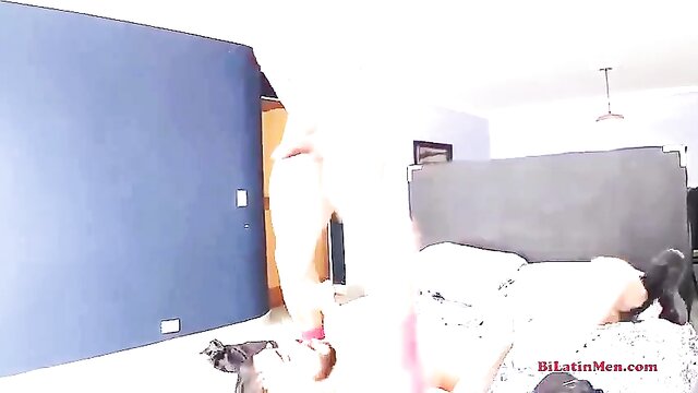 sucking, homemade, amateur - anal stud blowjob