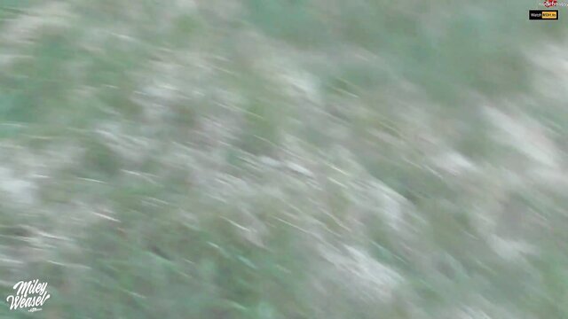 Miley-Weasel - miley mein pov