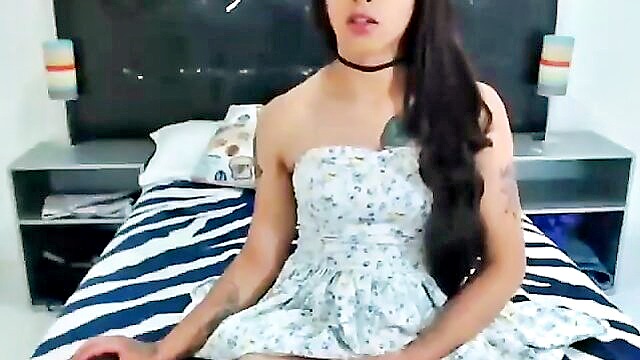 shemale masturbation video : CuteTrans