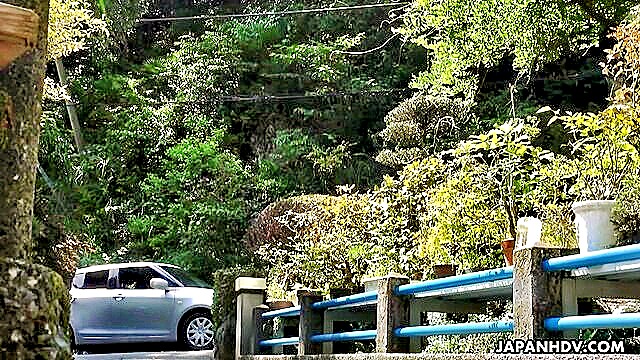 uncensored, blowjob, hardcore - sakura aoi outdoor fuck