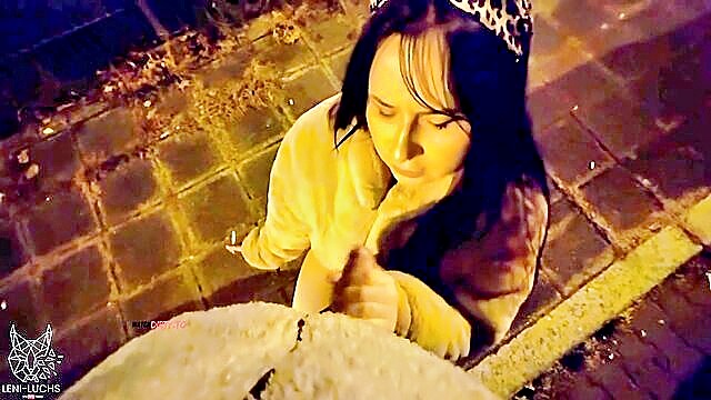 Leni-Luchs - nürnbergs perverseste strasse