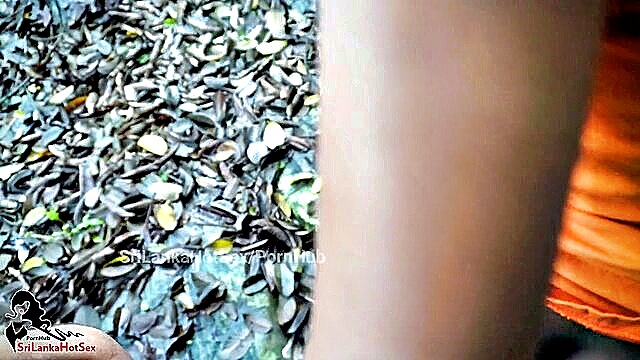 sri lanka, sri lankan, sri lankan new - sri lankan jungle sex
