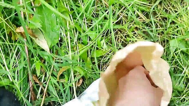 betamorphosis ball kicks and domination in hd : Amor