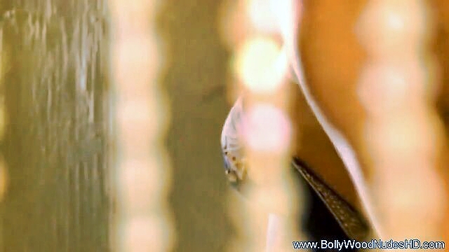 exotic indian beautys sensual striptease   sexvideos : Bollywood Nudes HD
