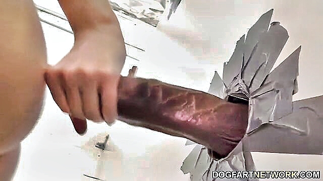 Rose Red - interracial encounter at a public restrooms glory hole DogfartNetwork