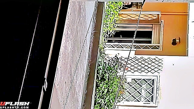 neighbors shocked reaction to unexpected exposure of amateur porn : idell23