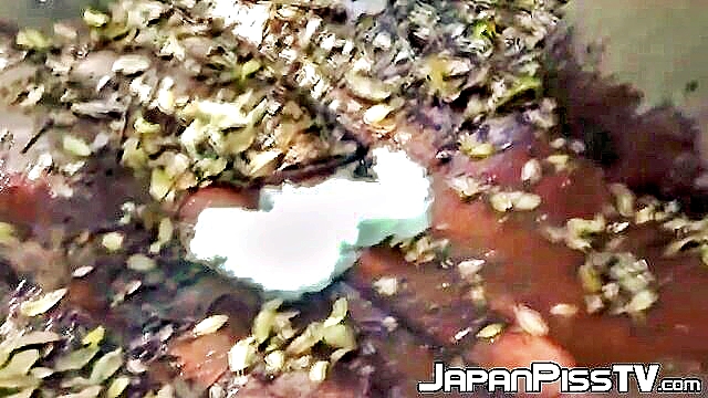 japanese babes public peeing caught on hd sexvid : susanna00