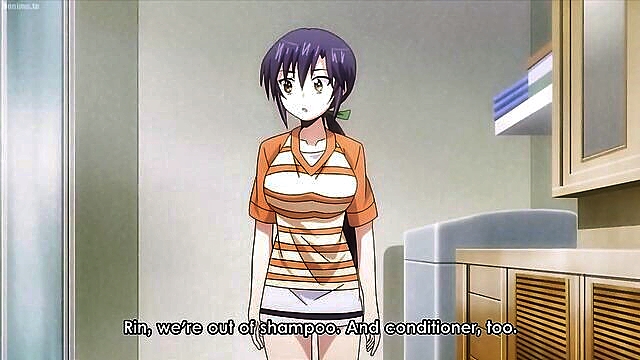 engaging hentai compilation with fanservice from season 1 to ova : bayer_brooklyn