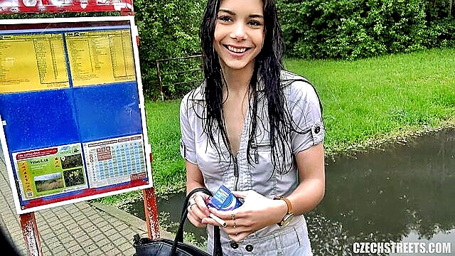 public pov, outdoor public, pov - silvias outdoor public sex for money   pov