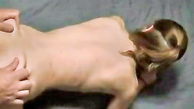 Layla Monroe, Amber Raines, Layla Love, Penny Love, Amber Love - layla loves dad gets some loving in this hd porn video