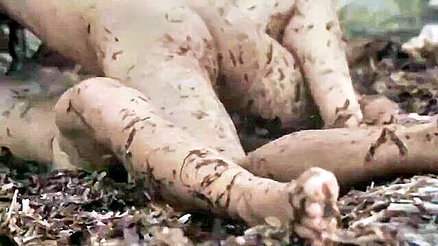 orgasm, adult toys, squirting - sizzling reel of intense explicit scenes from adult films