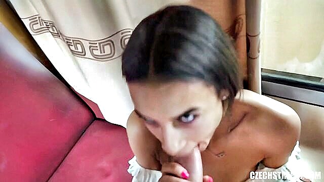 Vanessa Alessia, Alessia - vanessa alessias public train encounter for a quickie