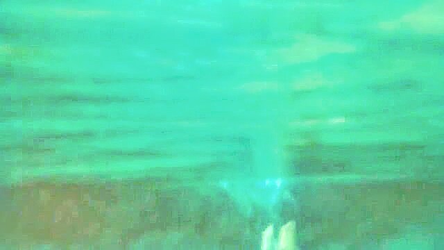 sabryna_hammes underwater swim : sabryna_hammes